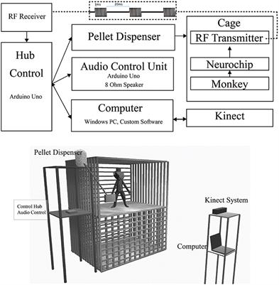 Open-Source, Low Cost, Free-Behavior Monitoring, and Reward System for Neuroscience Research in Non-human Primates